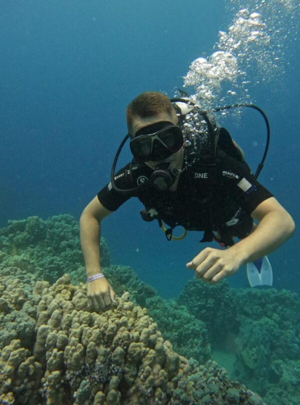 Diving and snorkeling together on one boat Hurghada 2