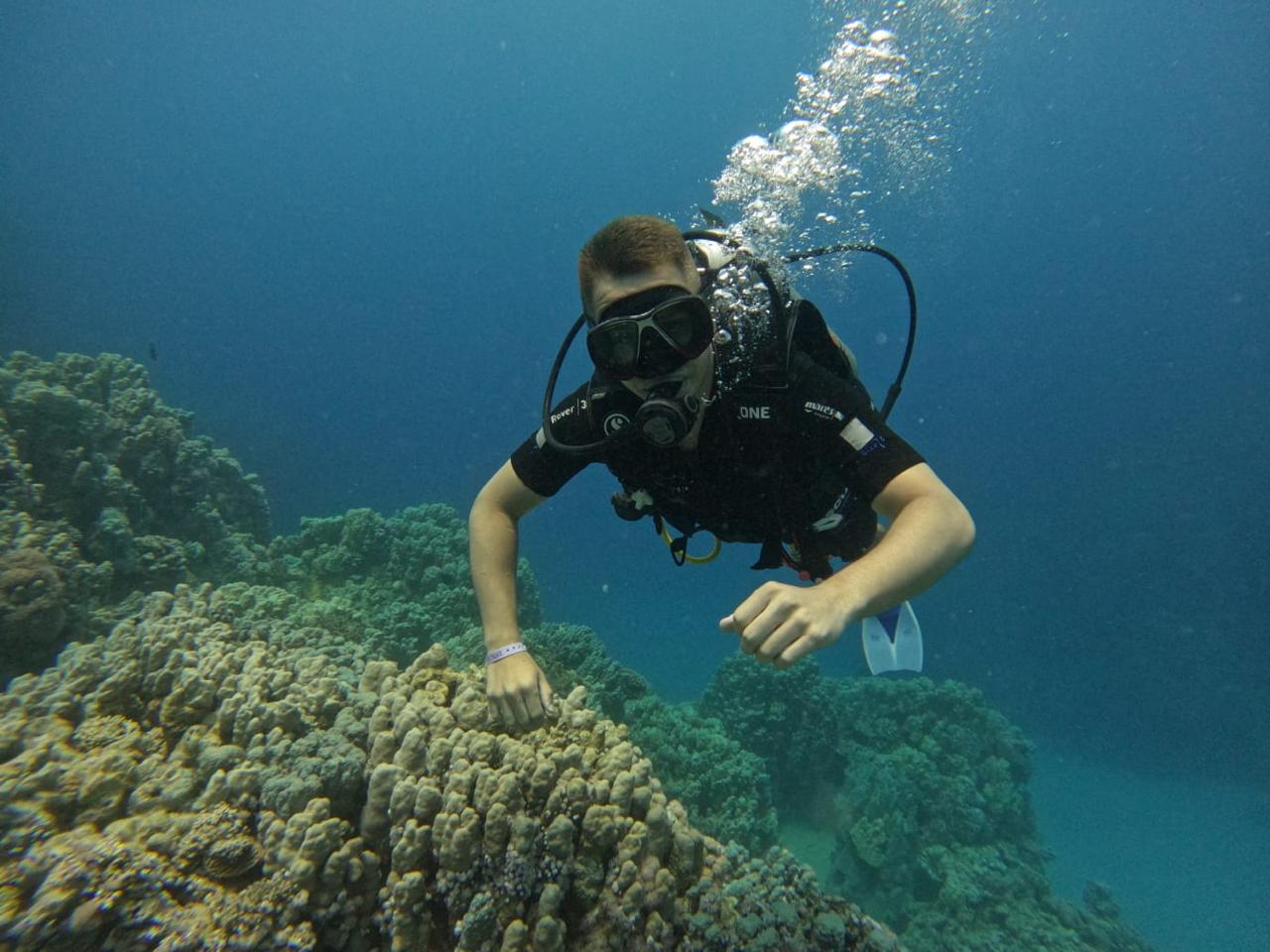 Diving and snorkeling together on one boat Hurghada 2