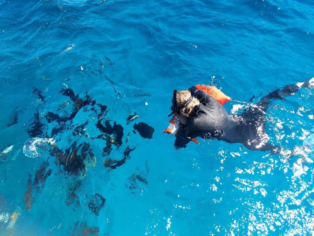 Diving and snorkeling together on one boat Hurghada 8