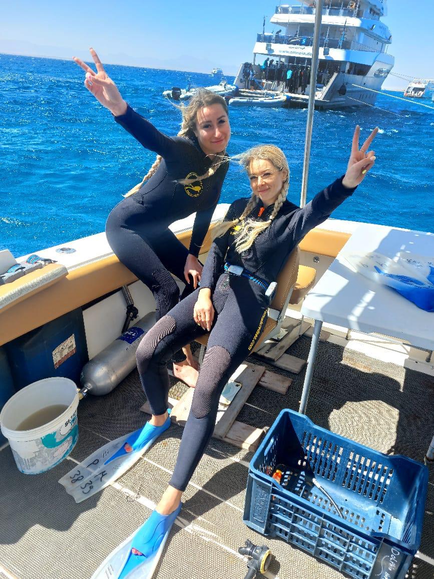 Diving and snorkeling together on one boat Hurghada 9