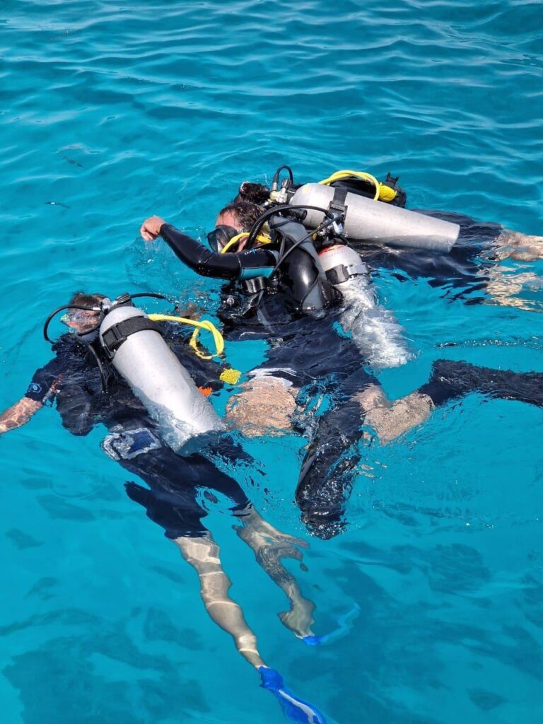 Diving and snorkeling together on one boat Hurghada 14