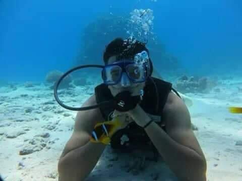 Diving and snorkeling together on one boat Hurghada 15