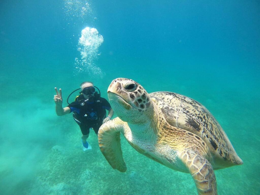 Diving and snorkeling together on one boat Hurghada 22