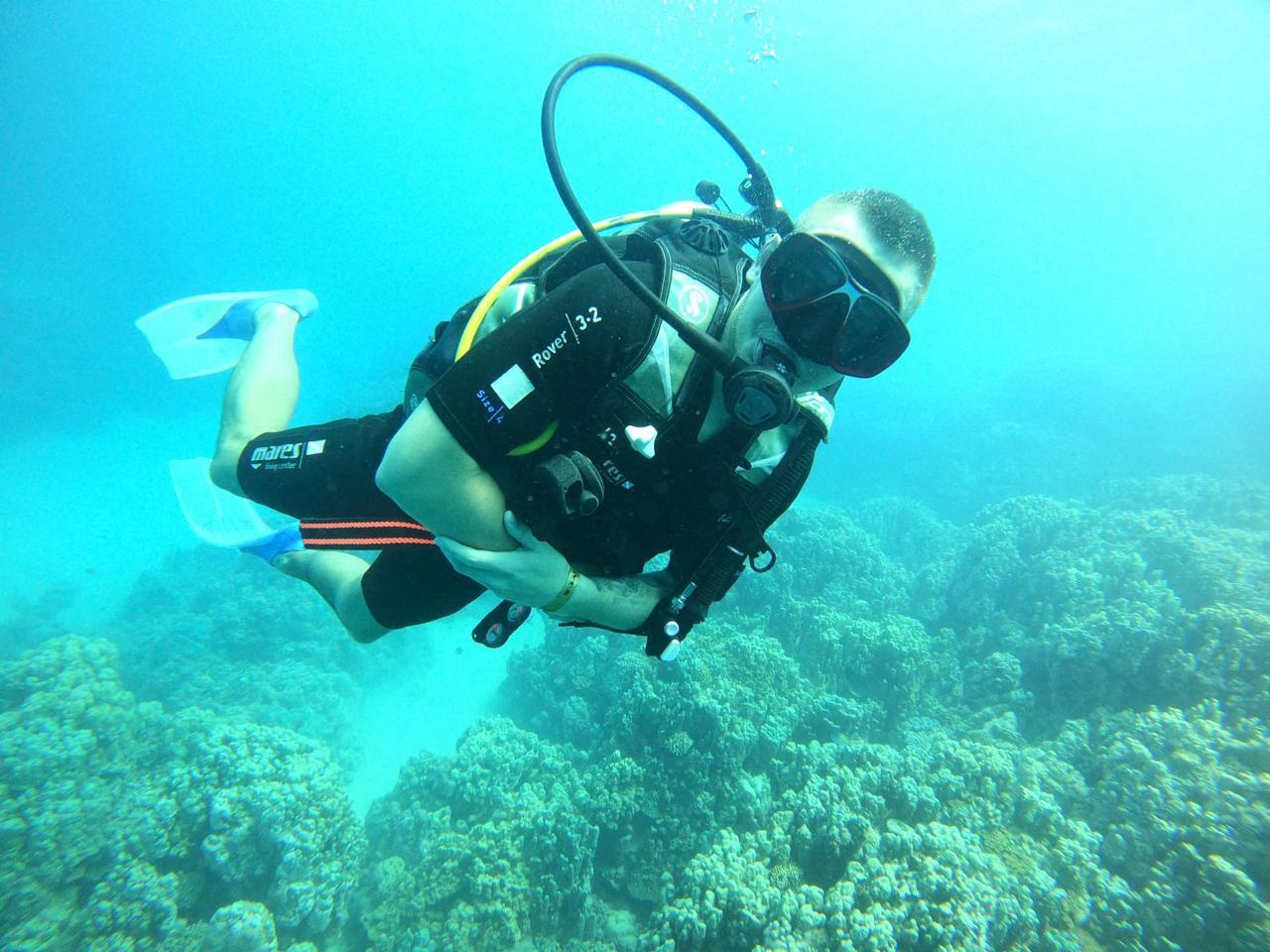 Diving and snorkeling together on one boat Hurghada 24