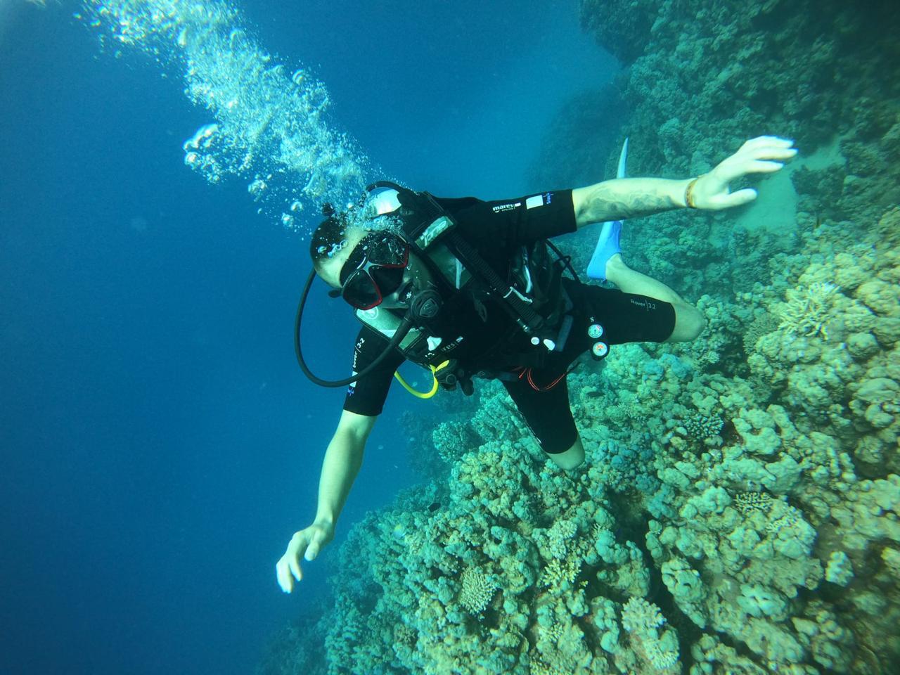 Diving and snorkeling together on one boat Hurghada 25