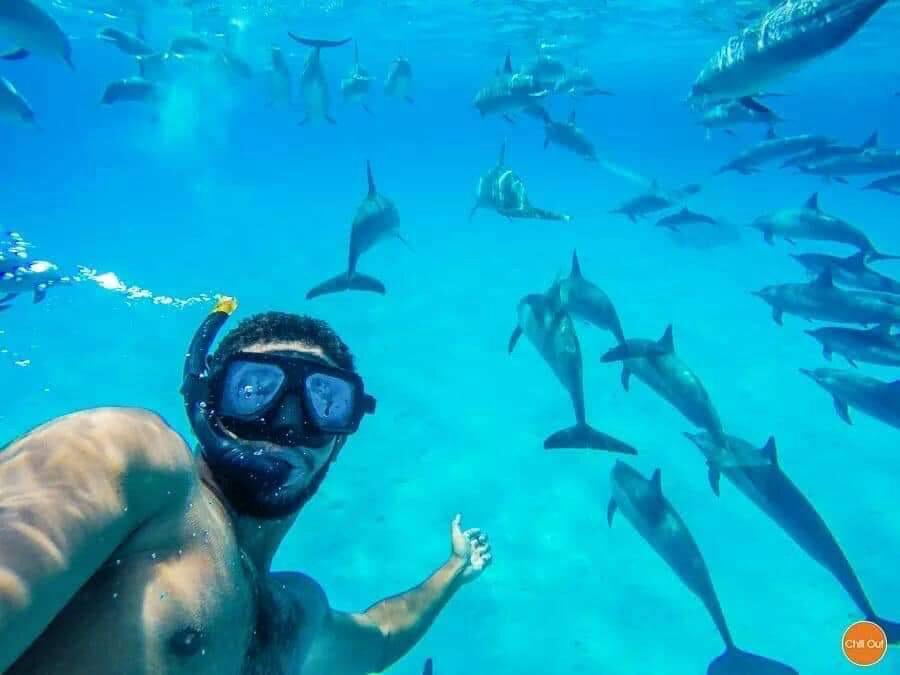 Dolphin House Hurghada 6