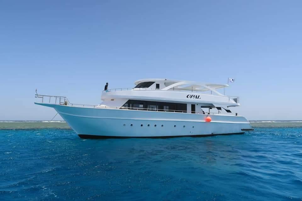 Dolphin House Hurghada 14