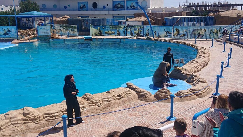 Hurghada dolphinarium show 1