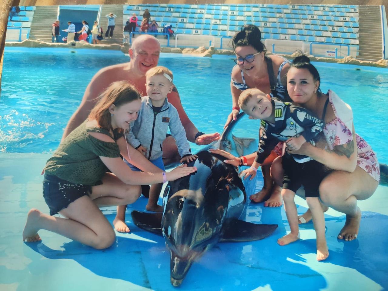 Hurghada dolphinarium show 5