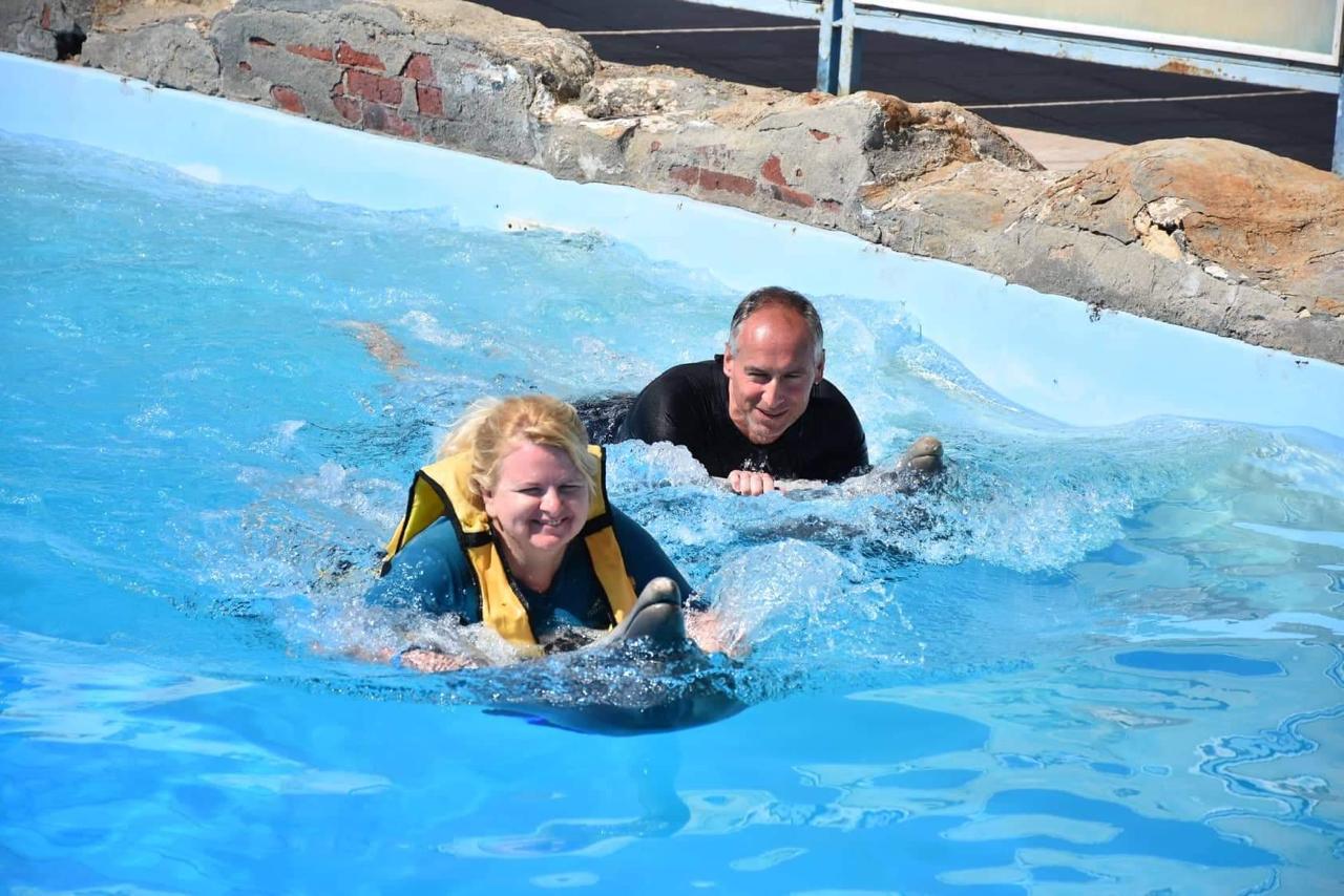 Hurghada dolphinarium show 11