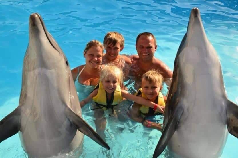 Hurghada dolphinarium show 14