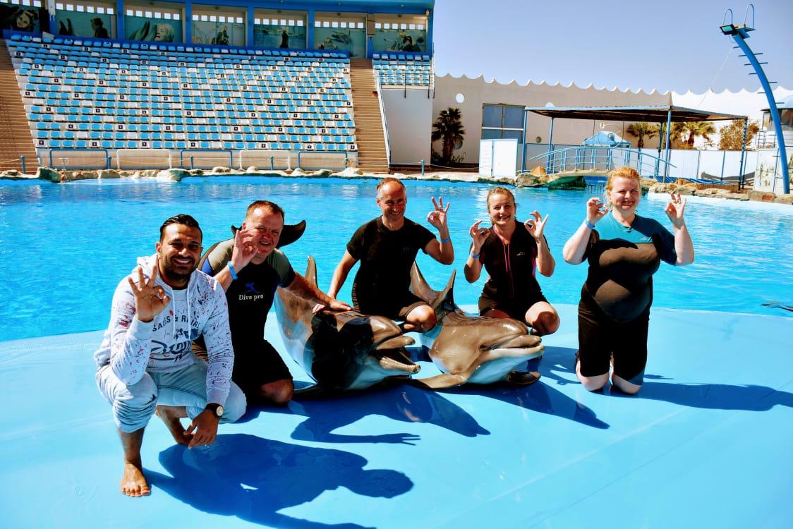 Hurghada dolphinarium show 17