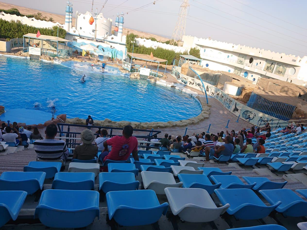 Hurghada dolphinarium show 18