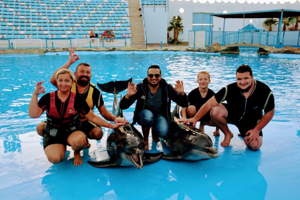 Hurghada dolphinarium show 24