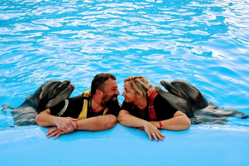 Hurghada dolphinarium show 25