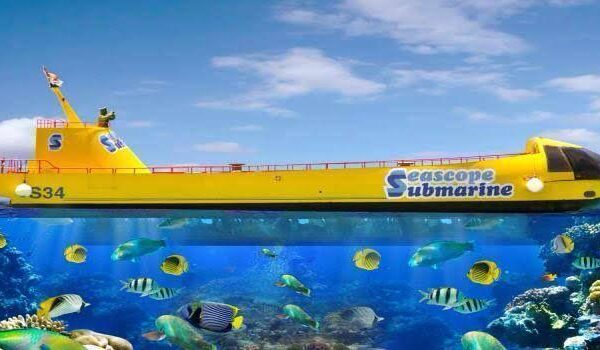 Hurghada glass boat to White Island 3
