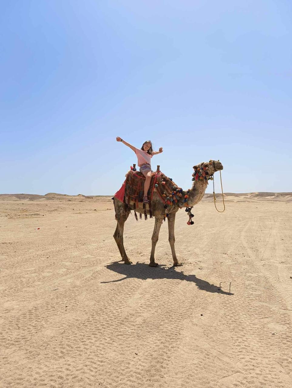 Hurghada horse and camel riding tour 8