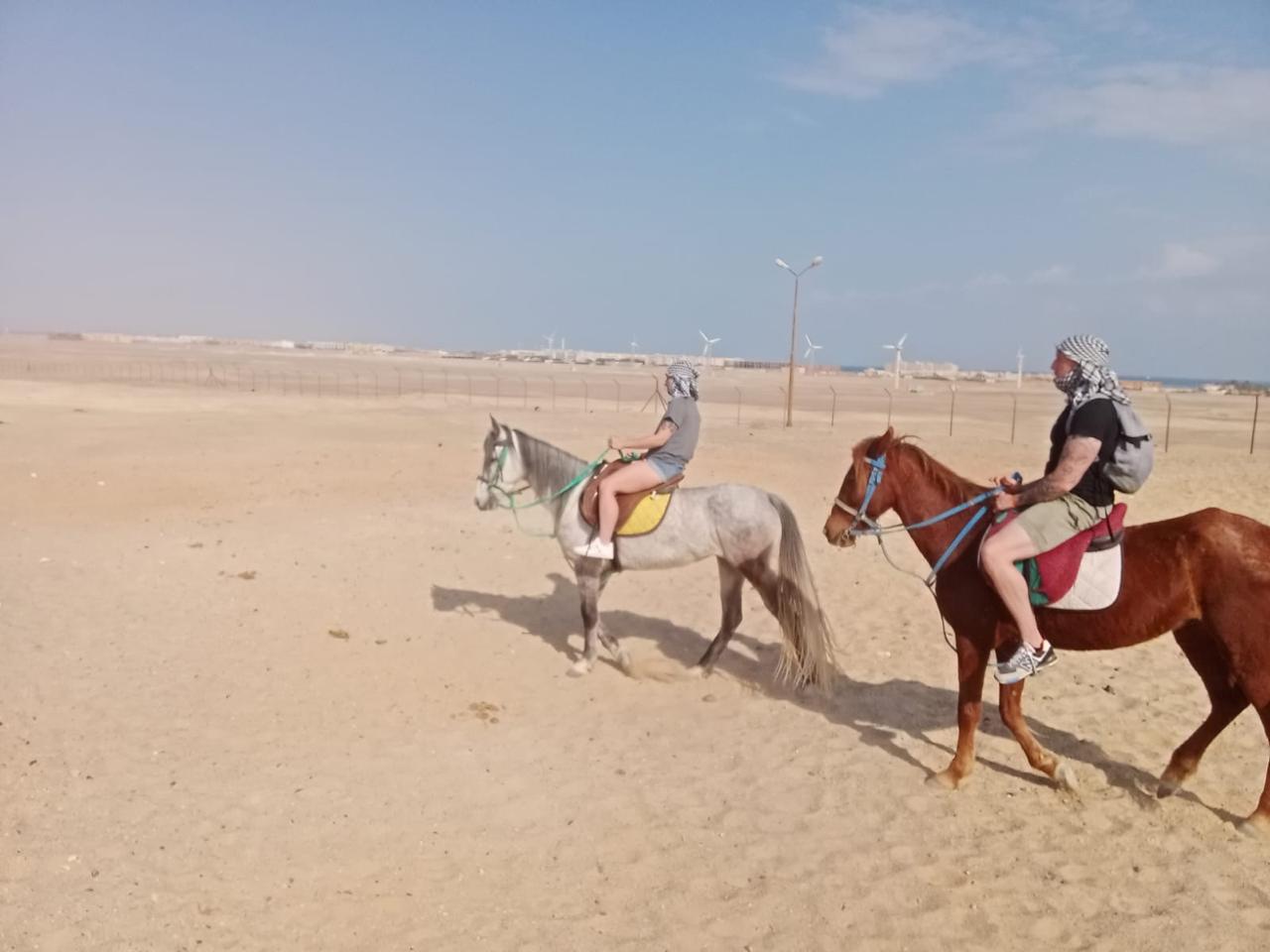 Hurghada horse and camel riding tour 9