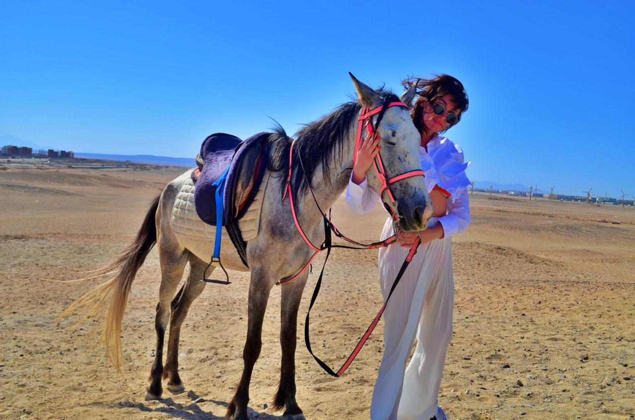 Hurghada horse and camel riding tour 18