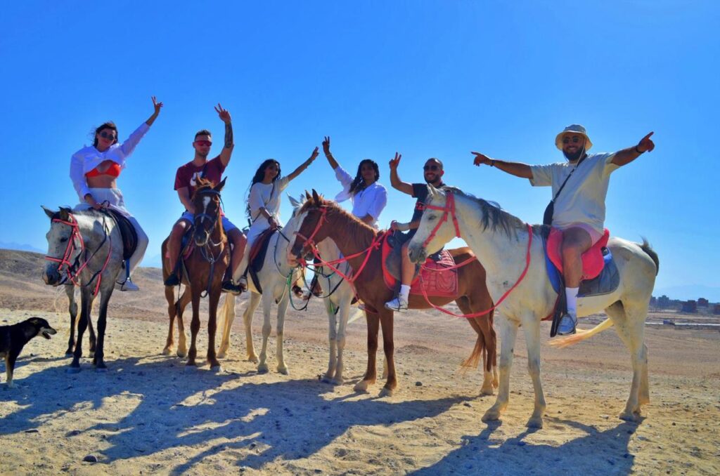 Hurghada horse and camel riding tour 21