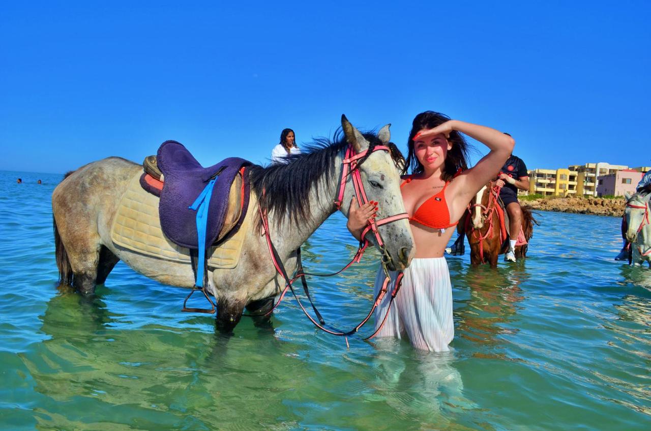 Hurghada horse and camel riding tour 23