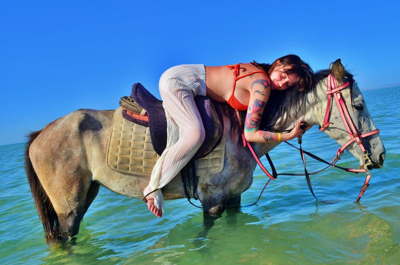 Hurghada horse and camel riding tour 26
