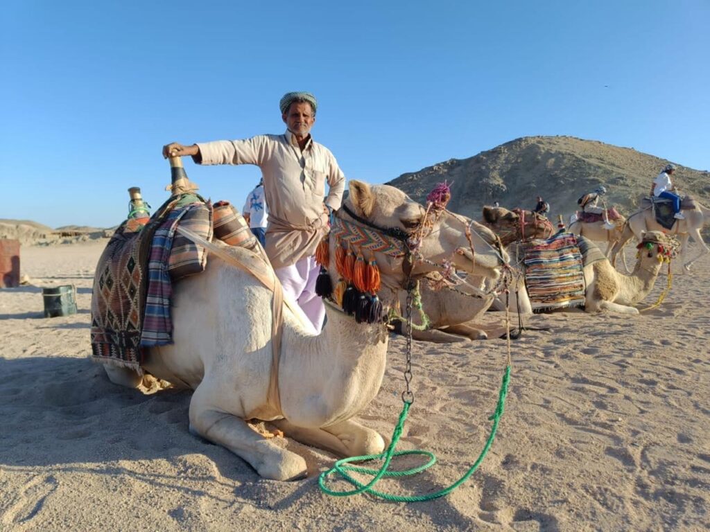 Hurghada horse and camel riding tour 31