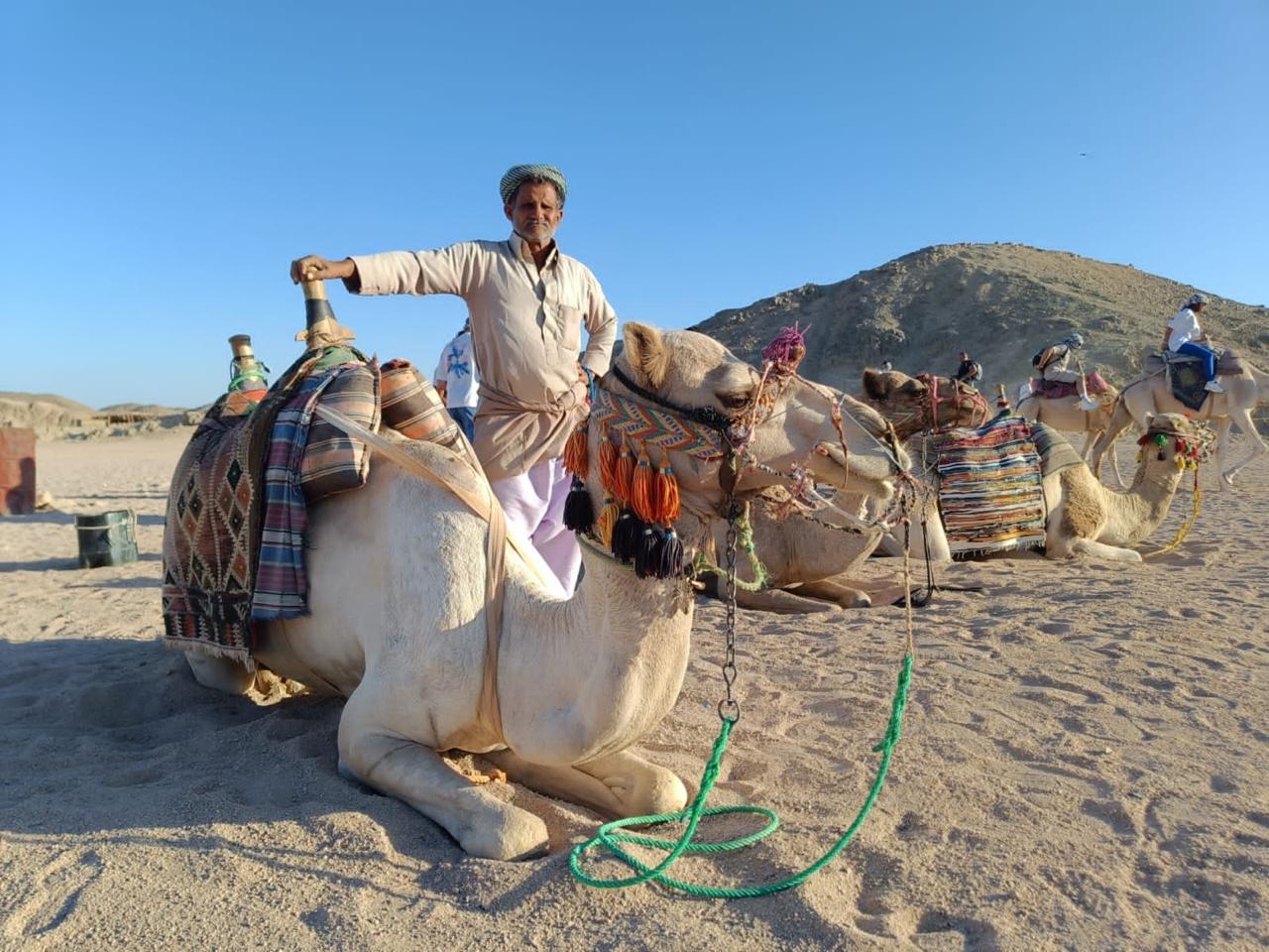 Hurghada horse and camel riding tour 31