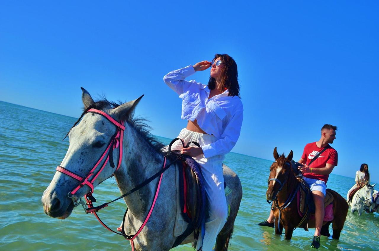 Hurghada horse and camel riding tour 34
