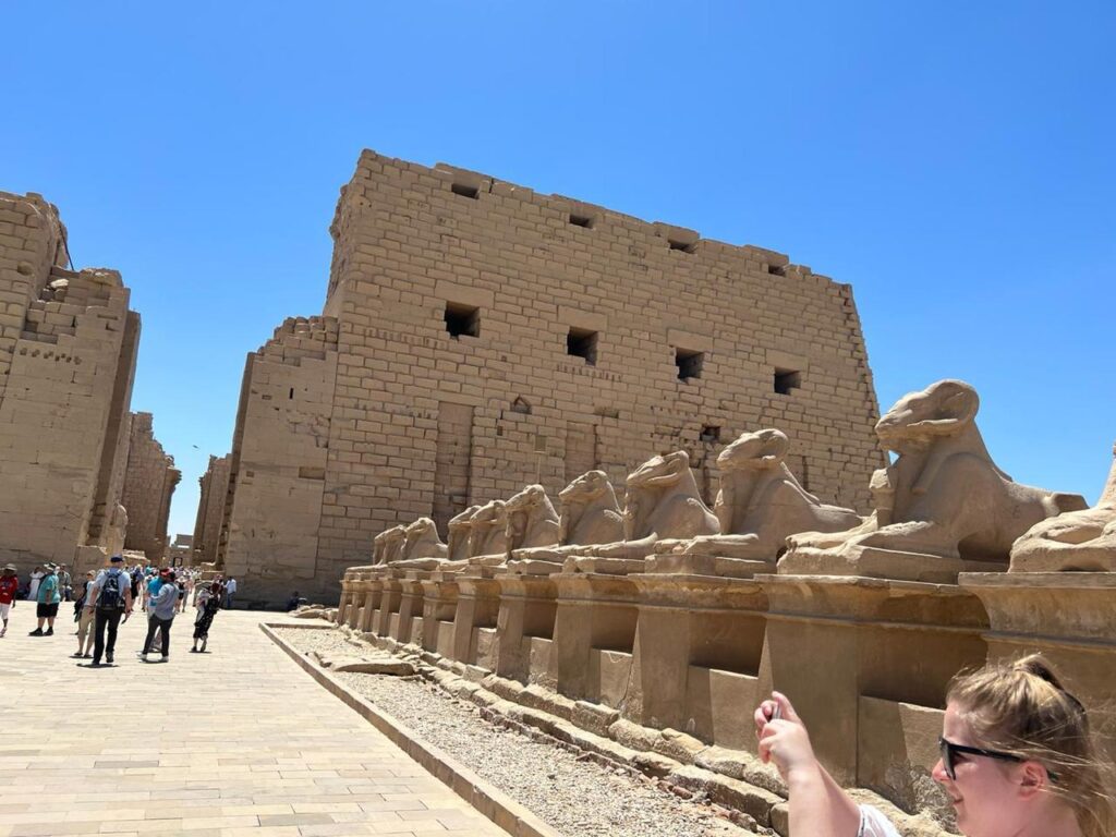 Hurghada Luxor individual by Toyota bus 4