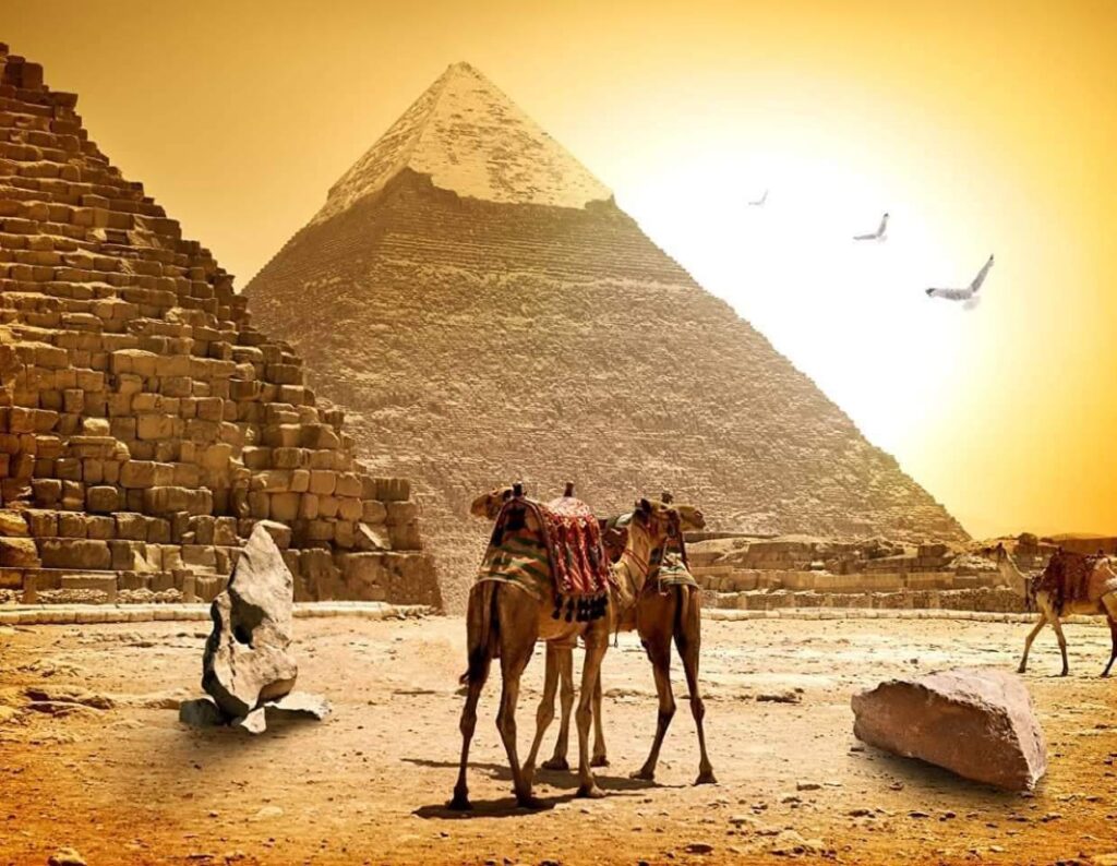 Hurghada Luxor individual by Toyota bus 65