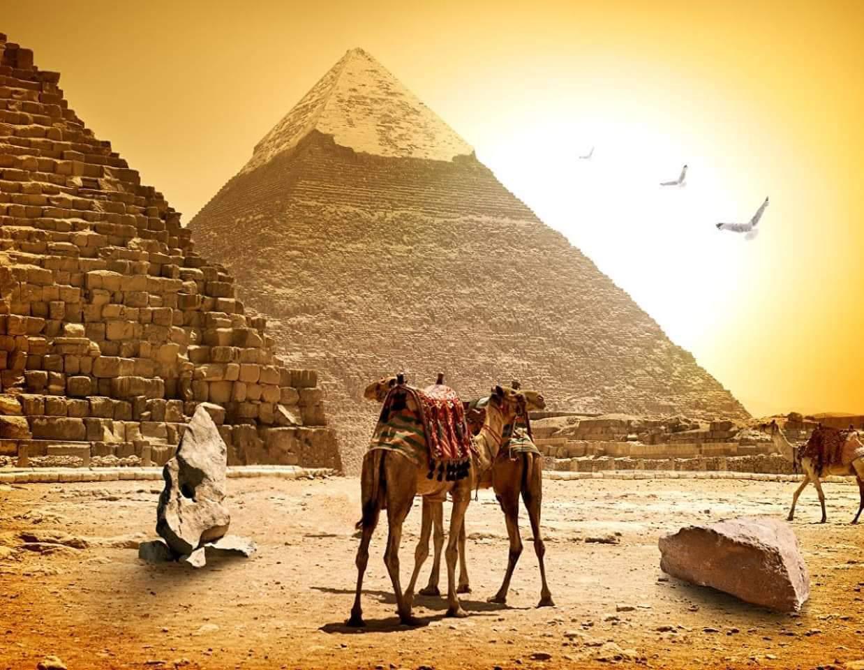 Hurghada Luxor individual by Toyota bus 65