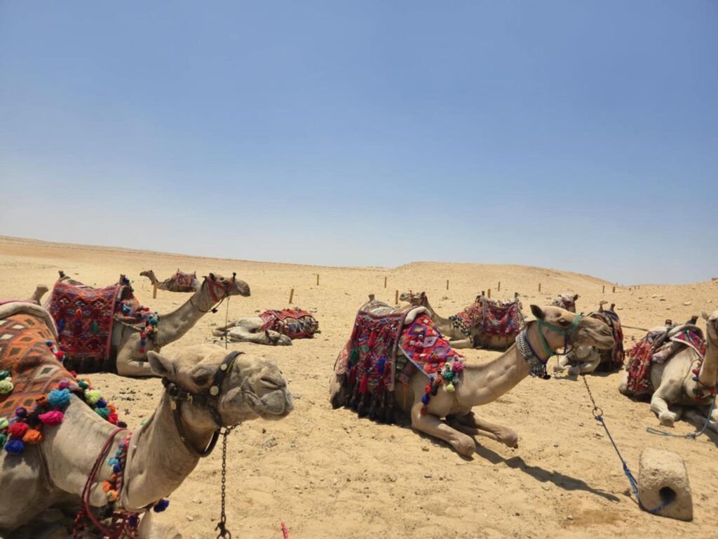Hurghada Luxor individual by Toyota bus 133