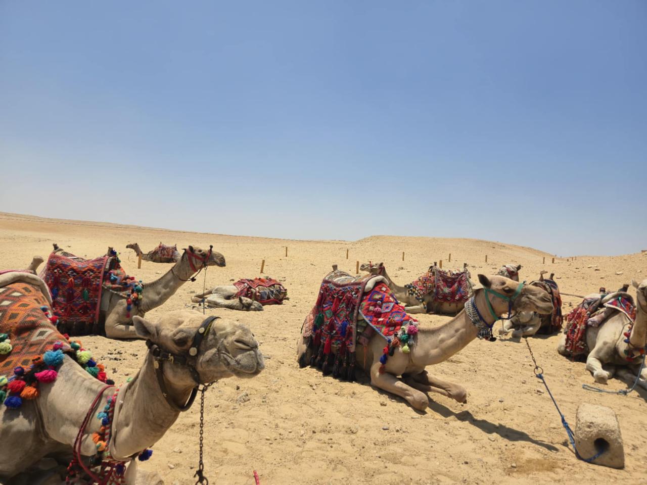 Hurghada Luxor individual by Toyota bus 133