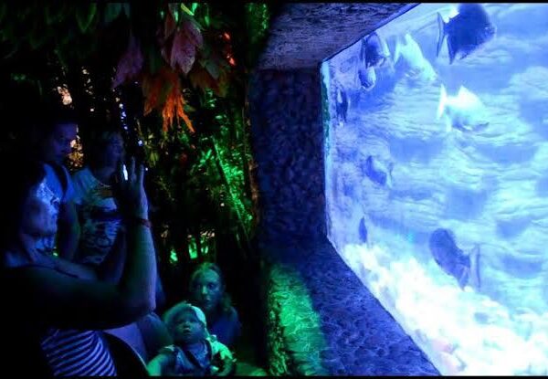Hurghada oceanarium 2