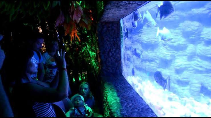 Hurghada oceanarium 2