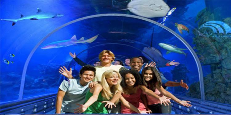 Hurghada oceanarium 4