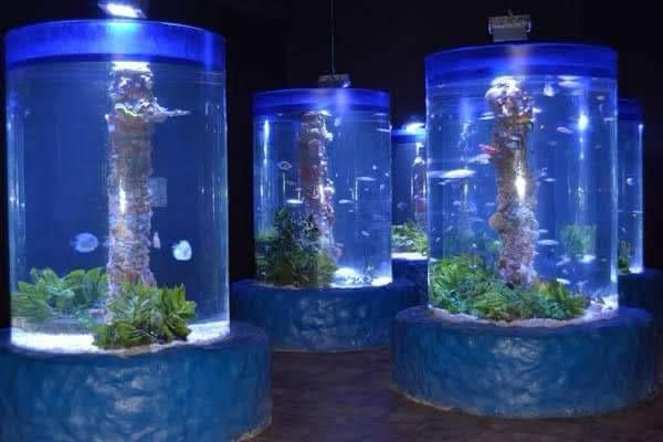Hurghada oceanarium 5
