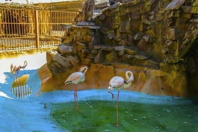 Hurghada oceanarium 7