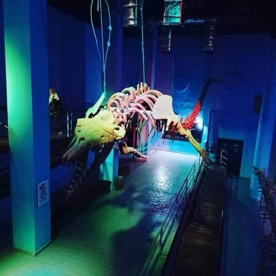 Hurghada oceanarium 9