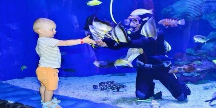 Hurghada oceanarium 10