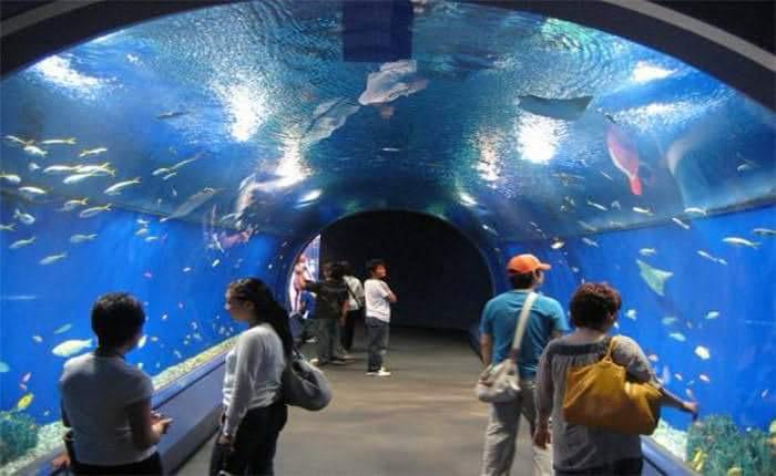 Hurghada oceanarium 11