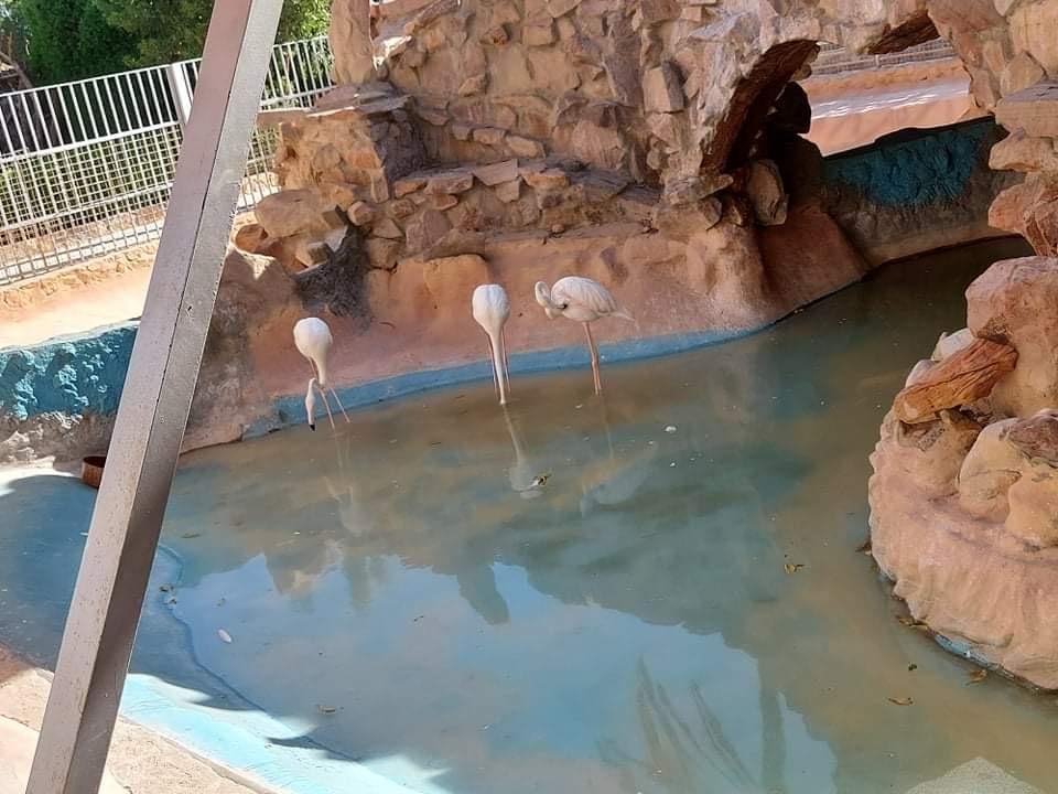 Hurghada oceanarium 15