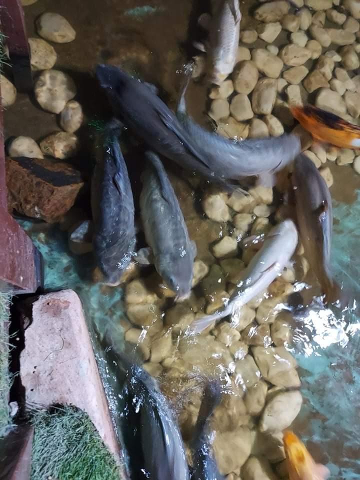 Hurghada oceanarium 16