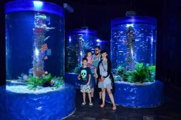 Hurghada oceanarium 17