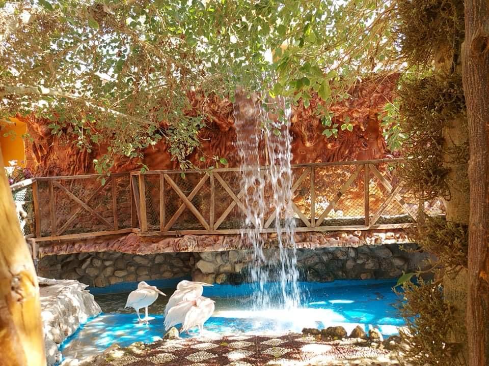 Hurghada oceanarium 18