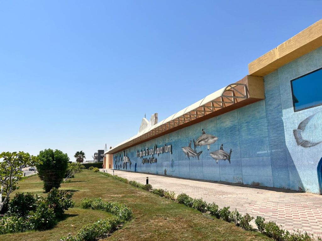 Hurghada oceanarium 20