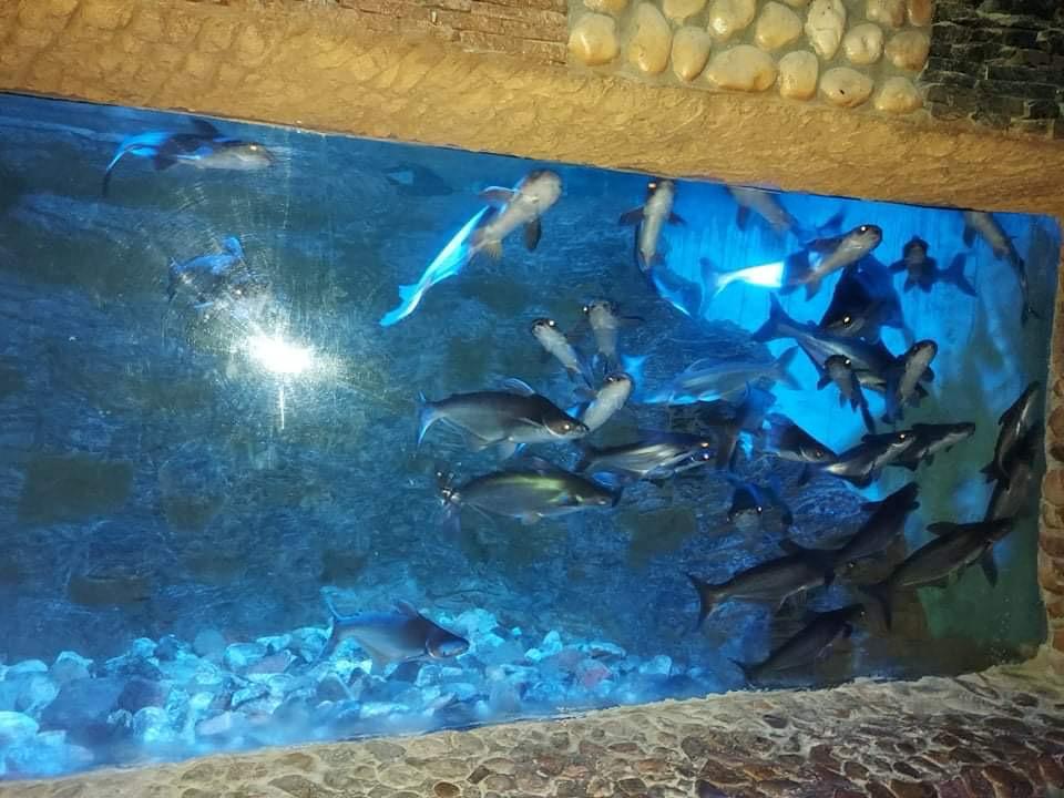 Hurghada oceanarium 26