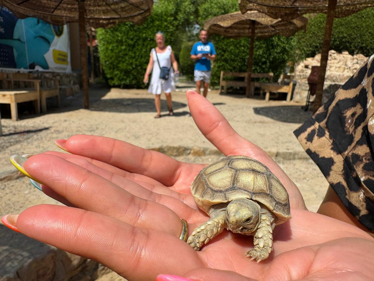 Hurghada oceanarium 27