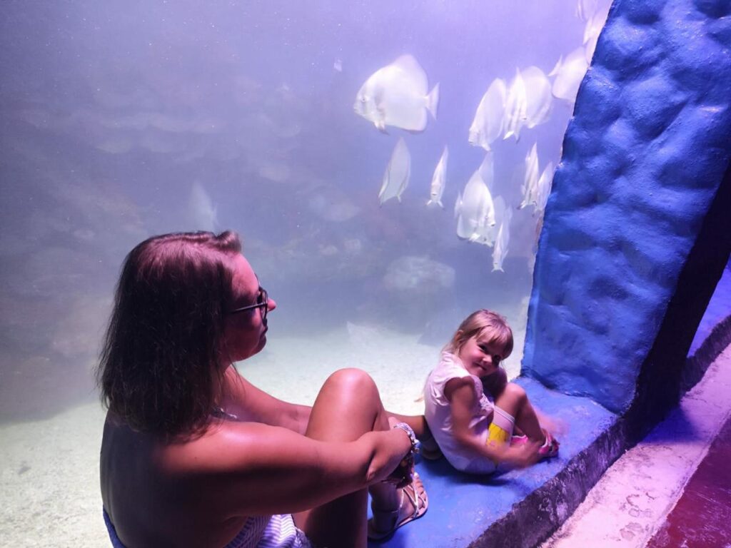 Hurghada oceanarium 29